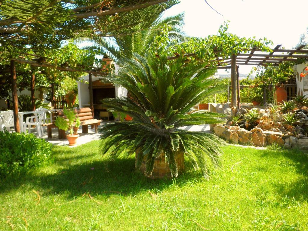 Dimitra Studios Kastraki  Exterior photo