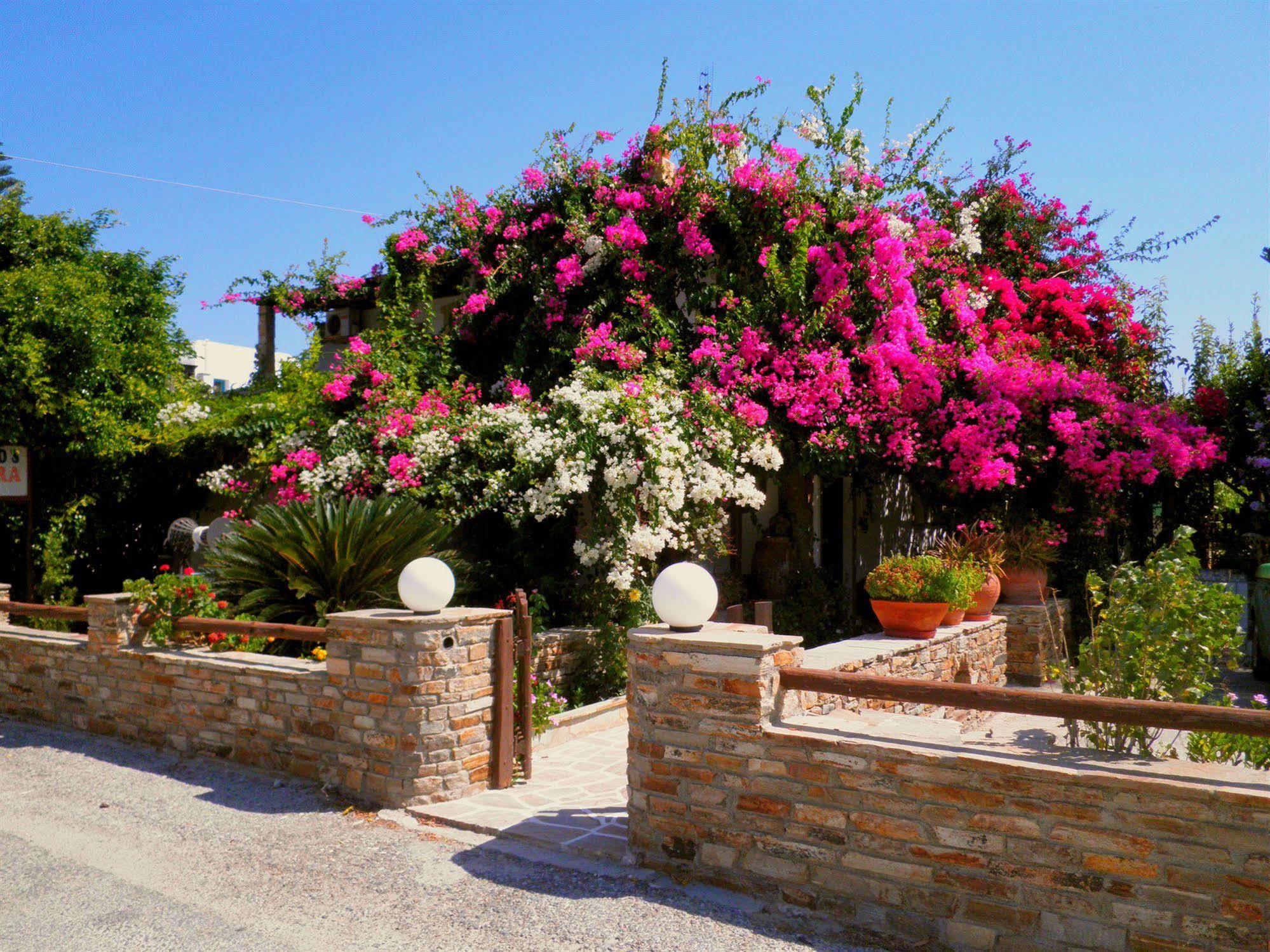 Dimitra Studios Kastraki  Exterior photo