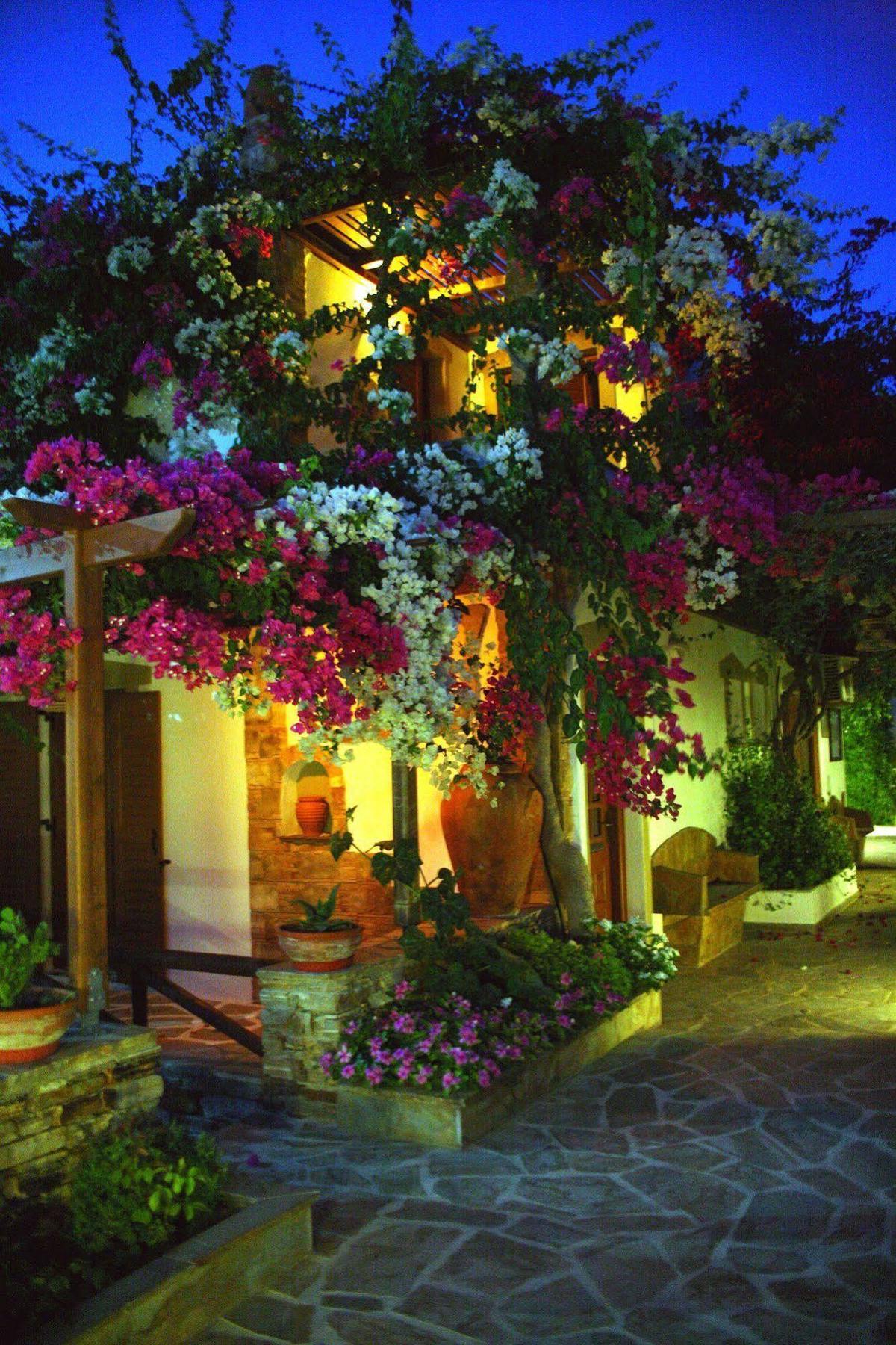 Dimitra Studios Kastraki  Exterior photo